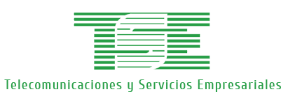 Logotipo TSE